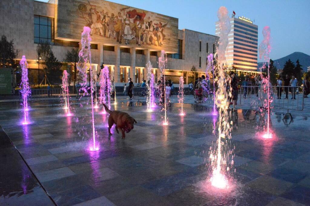 "Tata'S New Home!" Tirana Exteriör bild